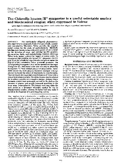 ProcNatlAcadSciUSAVol93pp669673January1996CellBiologyTheChlorellahexo