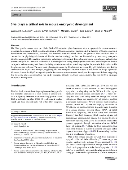 CellDeathDifferentiation202027297