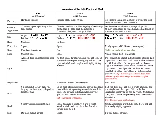 Comparison of the Puli Pumi and Mudi