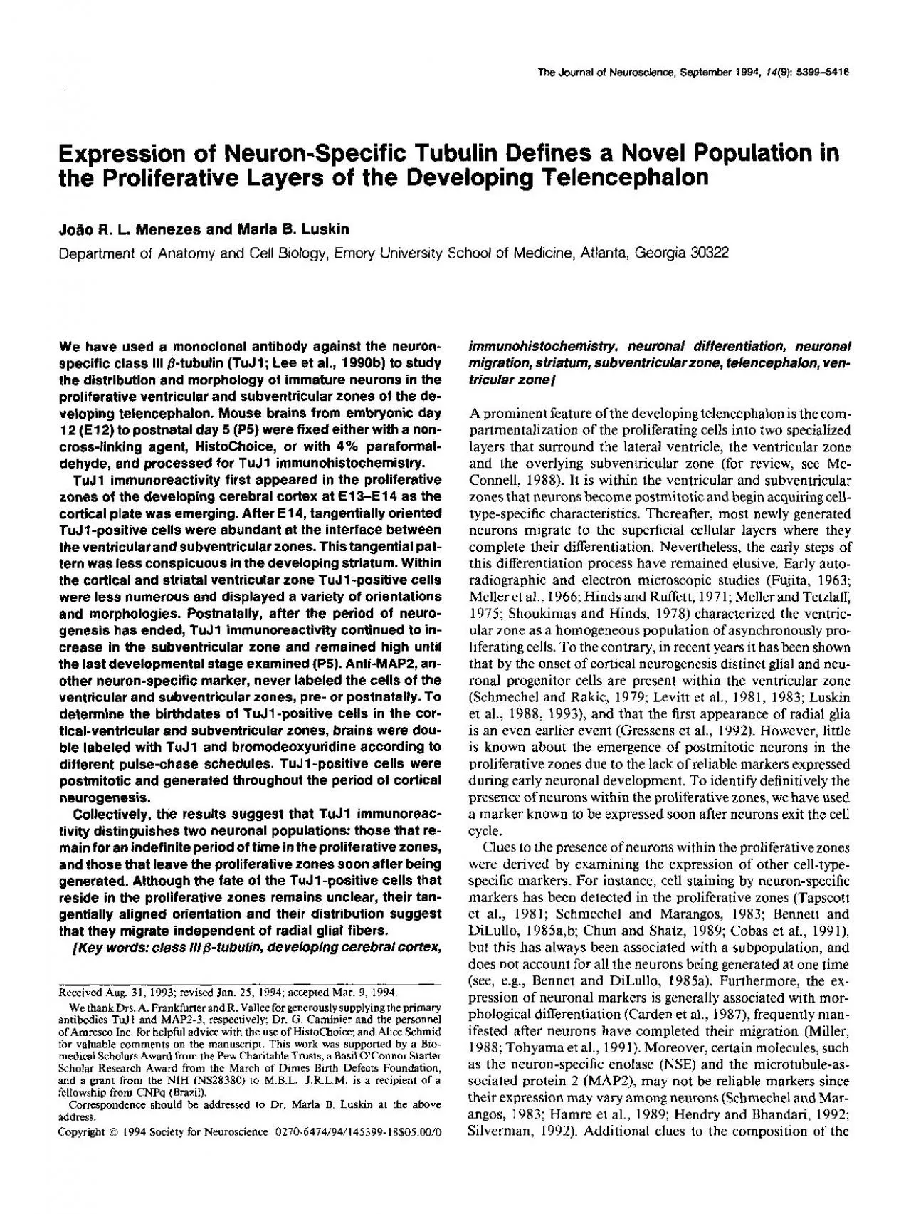 PDF-Expression of NeuronSpecific Tubulin Defines a Novel Population in th