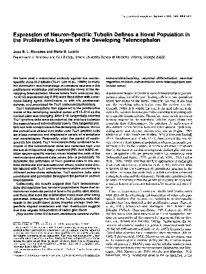 Expression of NeuronSpecific Tubulin Defines a Novel Population in th