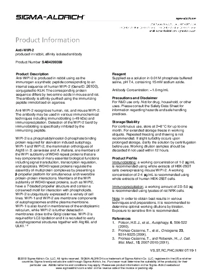 PDF-produced in rabbit affinity isolated antibody