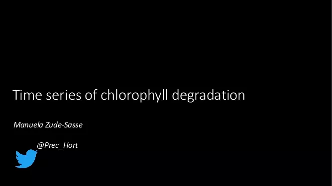 Time series of chlorophyll degradation