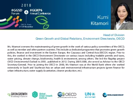 Ms Kitamori oversees the mainstreaming of green growth in the work of