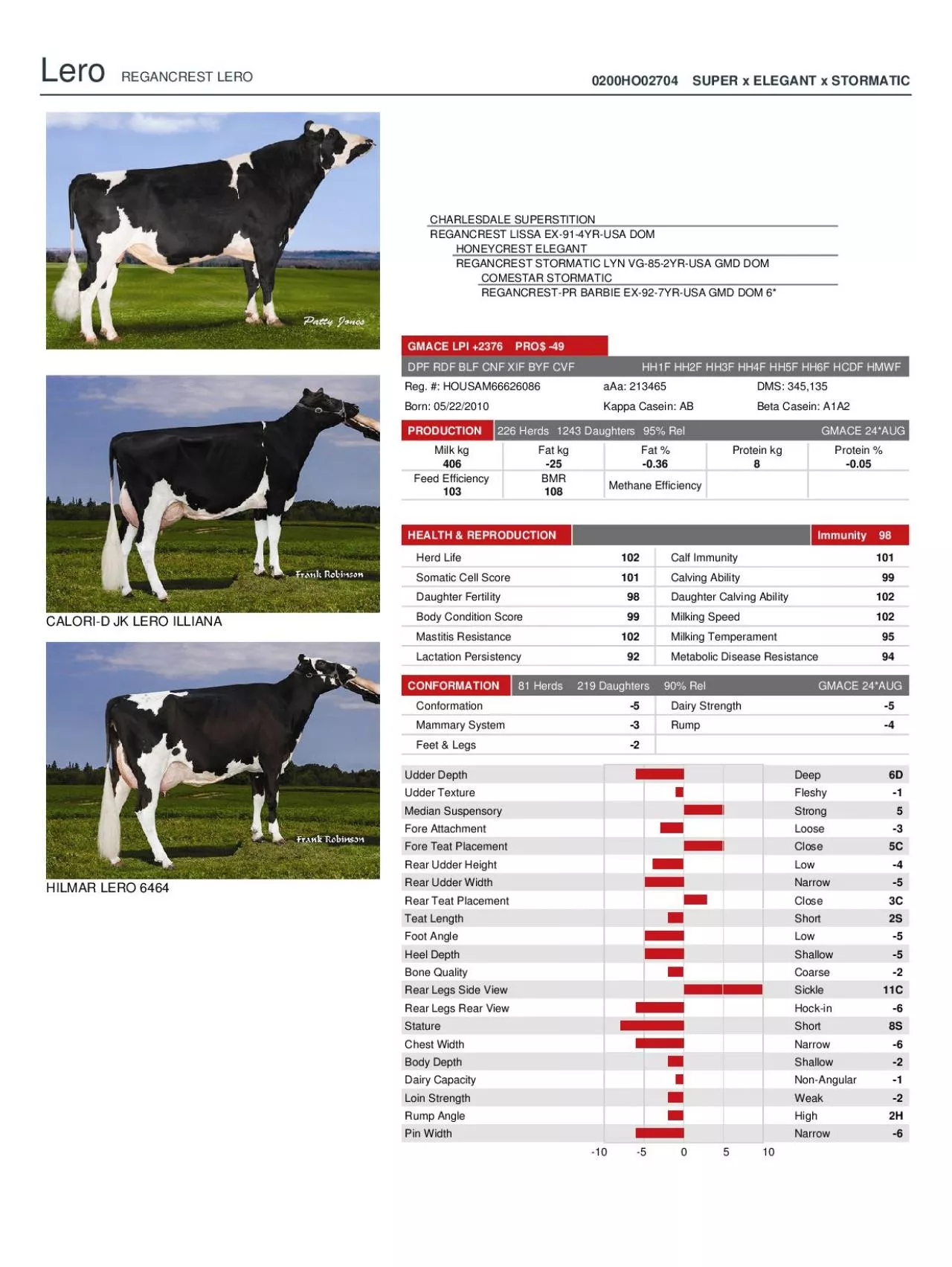 PDF-LeroREGANCREST LERO0200HO02704 SUPER x ELEGANT x STORMATIC