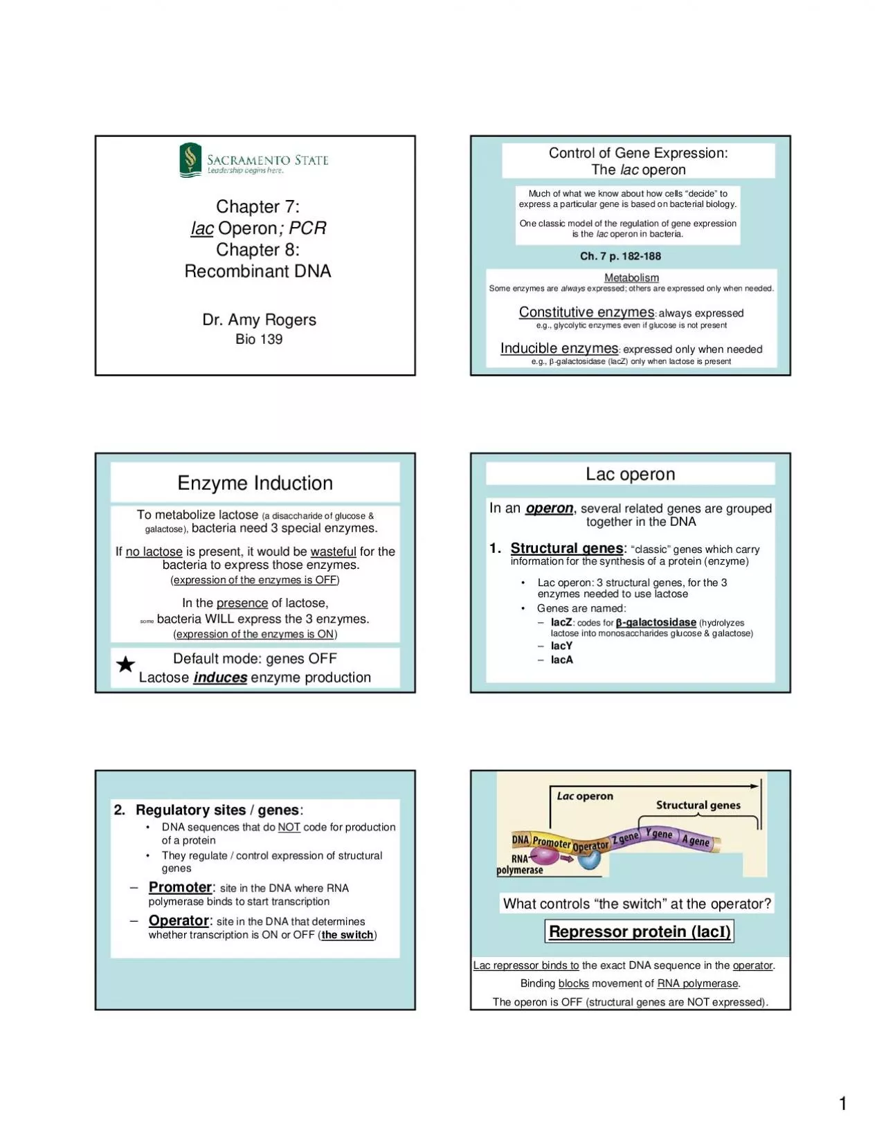 PDF-Metabolism