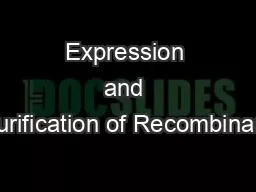 Expression and Purification of Recombinant