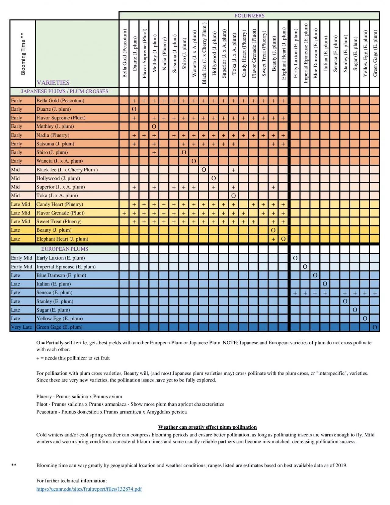 PDF-Blooming Time