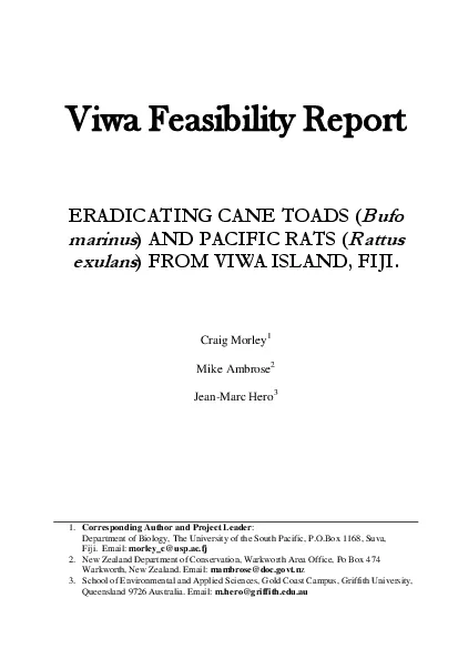 Viwa Feasibility Report