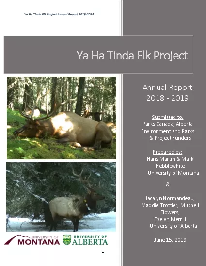 PDF-2019YHTAnnualReport.pdf thumbnail