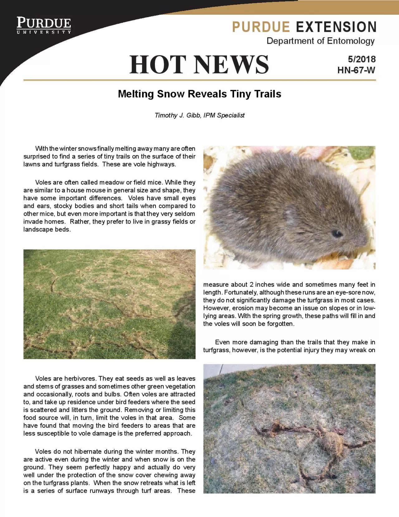 PDF-other plants Voles can seriously injure trees shrubs and sometimes pla