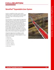 VersaFlex Expandable Liner System  VersaFlex Expandabl