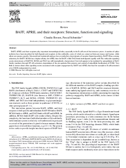 YSMIM576NoofPages13CBossenPSchneiderSeminarsinImmunologyxxx2006xxxxx