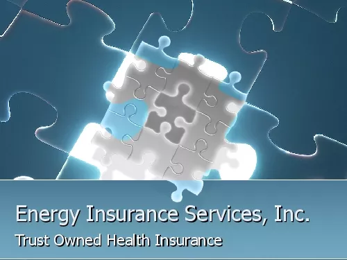 Energy Insurance Services Inc