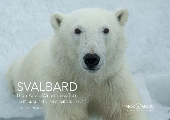 SVALBARDHigh Arctic Wilderness TourJUNE 1424 2018 ON BOARD RV KINFIS
