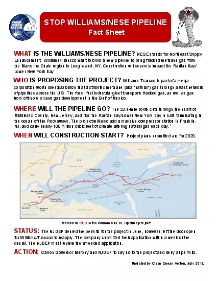 STOP WILLIAMSNESE PIPELINE