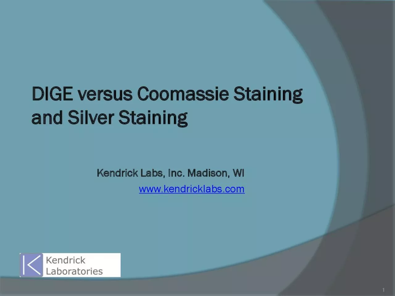 PDF-DIGE versus Coomassie Staining