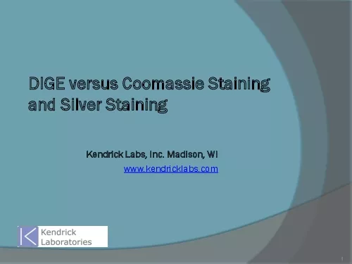 DIGE versus Coomassie Staining