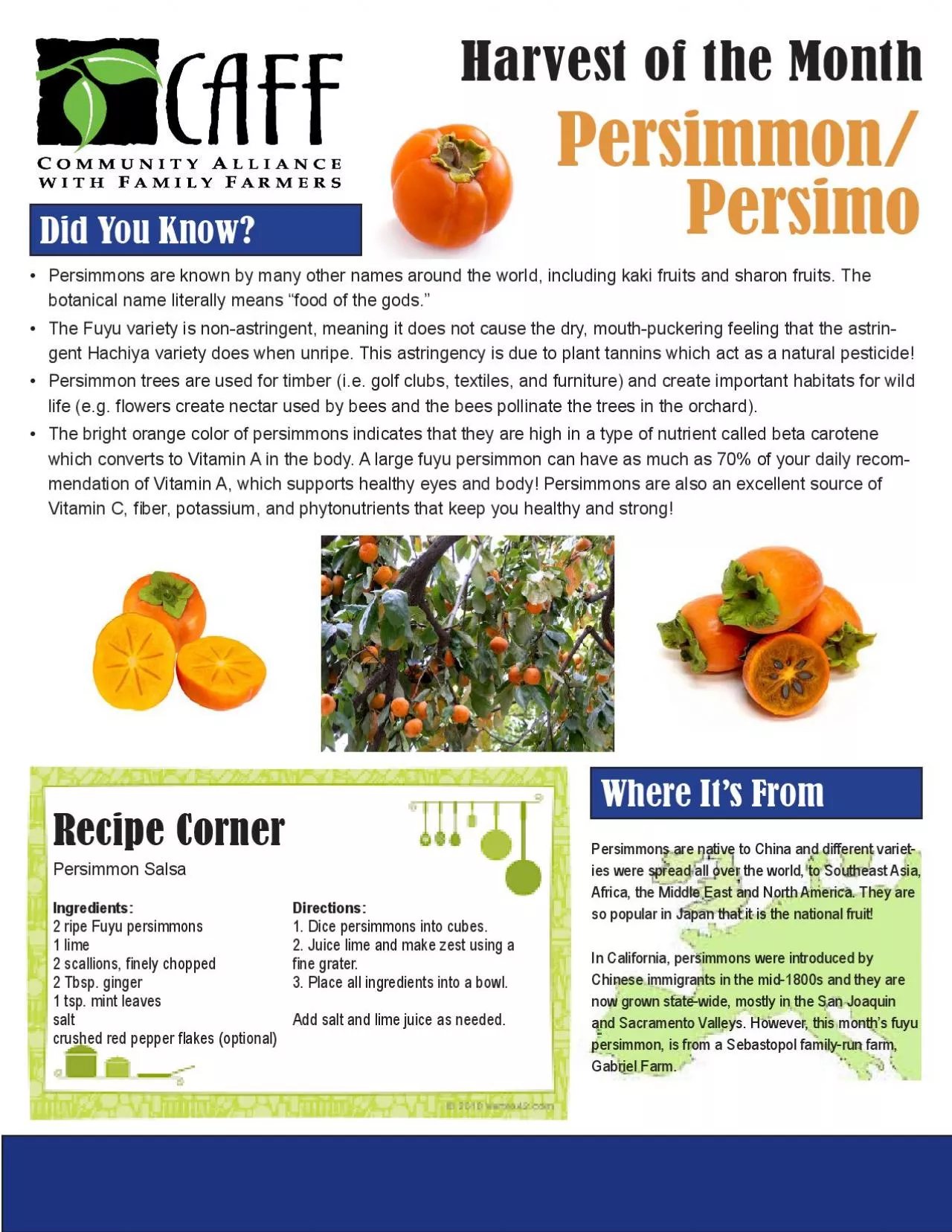 PDF-Persimmon