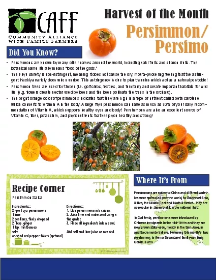 Persimmon