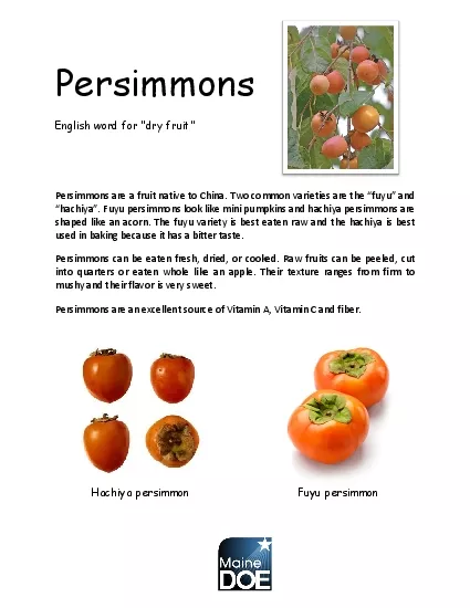 Persimmons.pdf