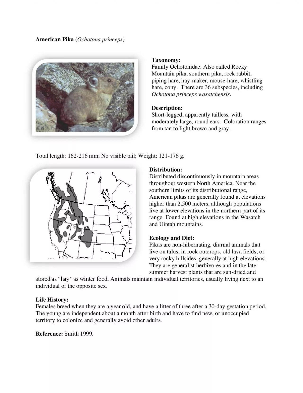 PDF-American Pika