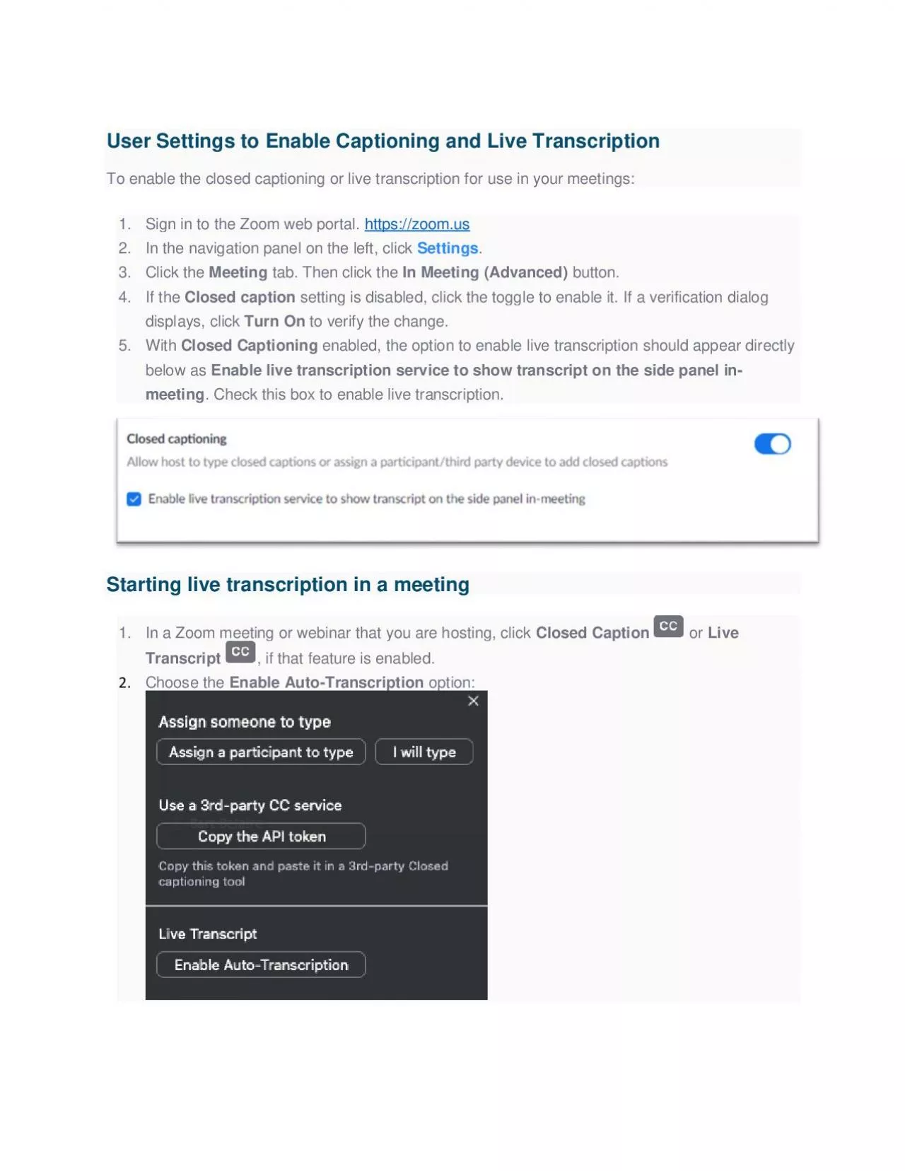 PDF-Settings to Enable Captioning and Live Transcription