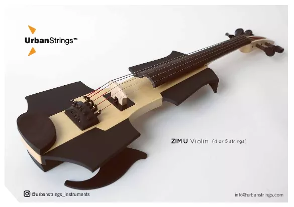 Violin4 or 5 strings