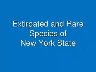 Extirpated and Rare Species of New York State  Elk Red