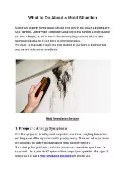 What to Do About a Mold Situation