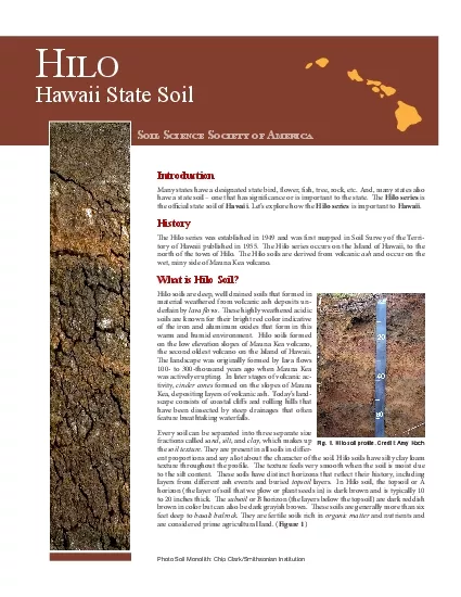 Hawaii State Soil