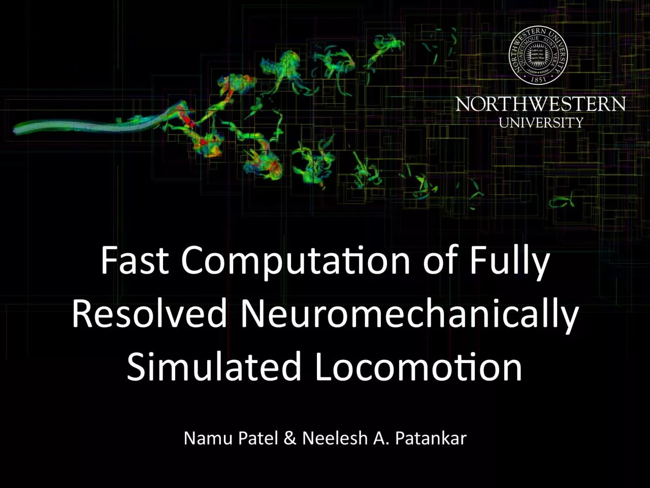 Patel_N.pdf