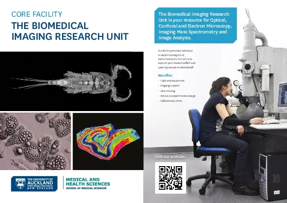 THE BIOMEDICALIMAGING RESEARCH UNITCORE FACILITY