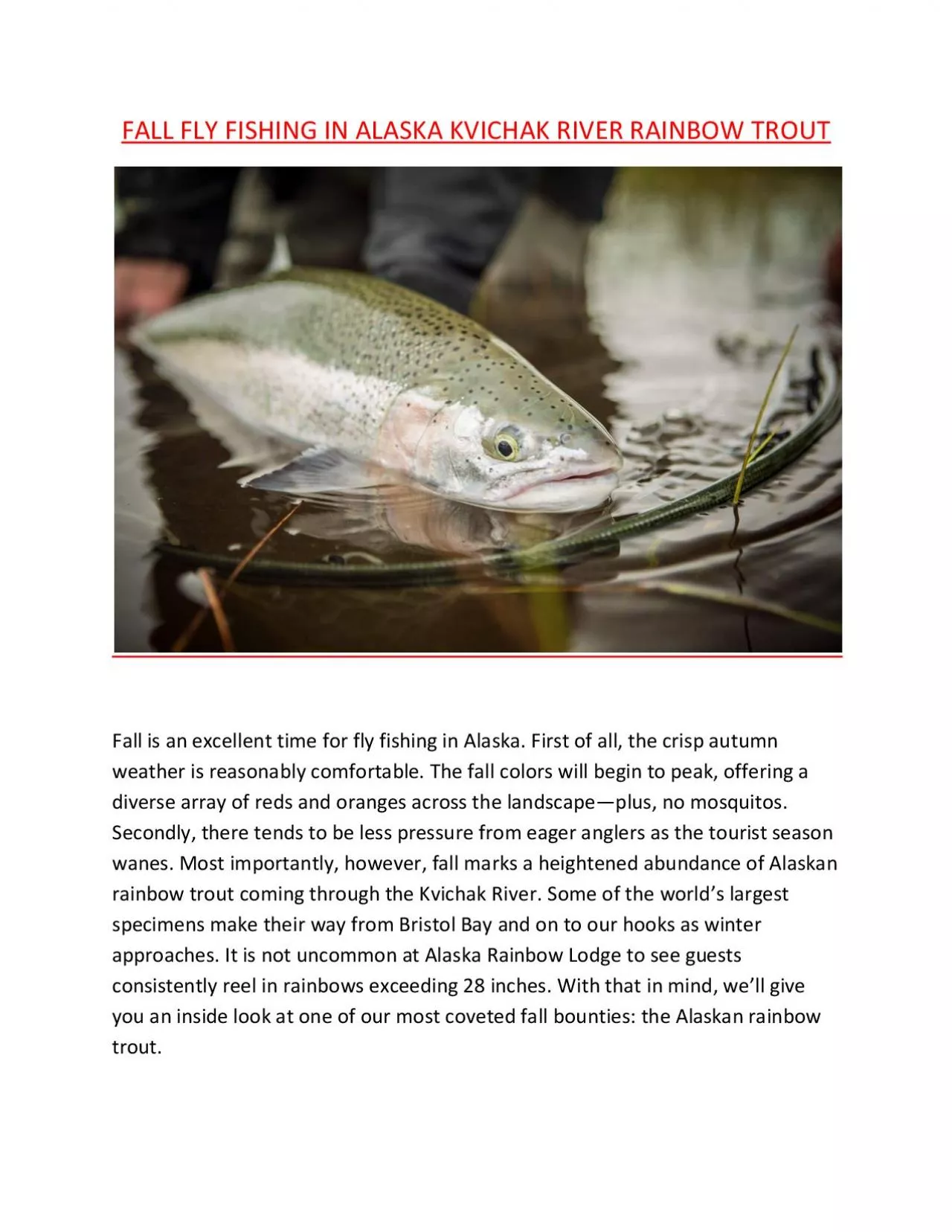 PDF-FALL FLY FISHING IN ALASKA: KVICHAK RIVER RAINBOW TROUT