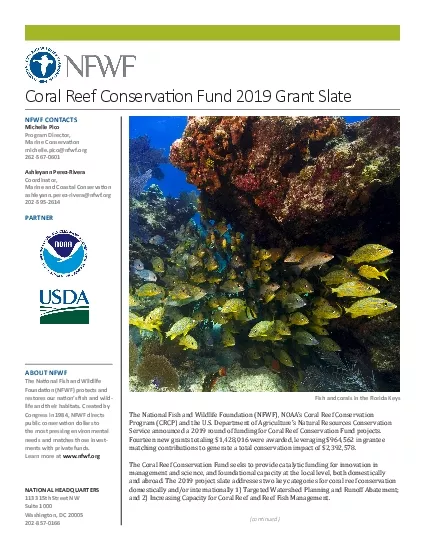 Coral Reef Conservax00740069on Fund 2019 Grant Slate