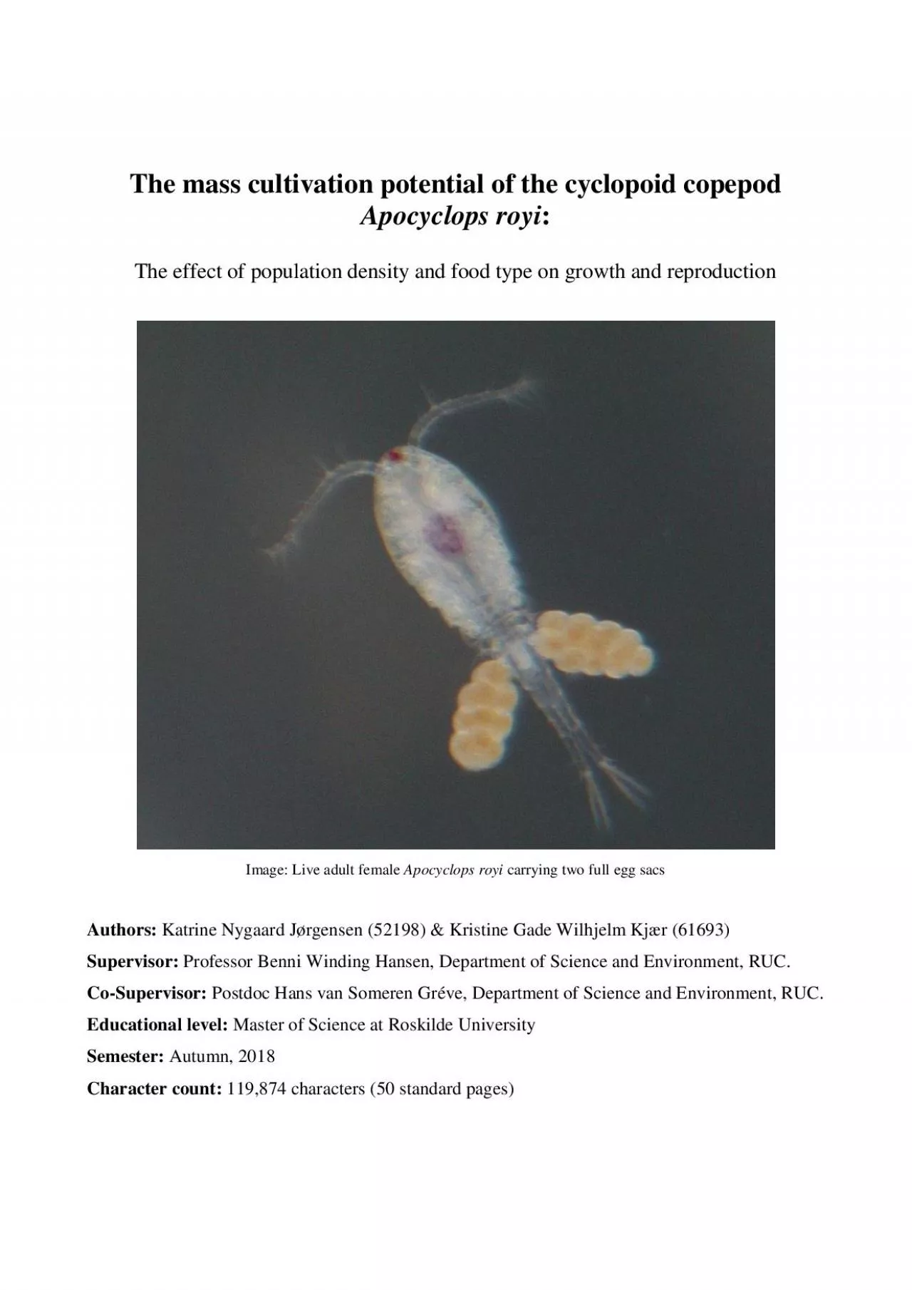 PDF-The mass cultivation potential of the cyclopoid copepod