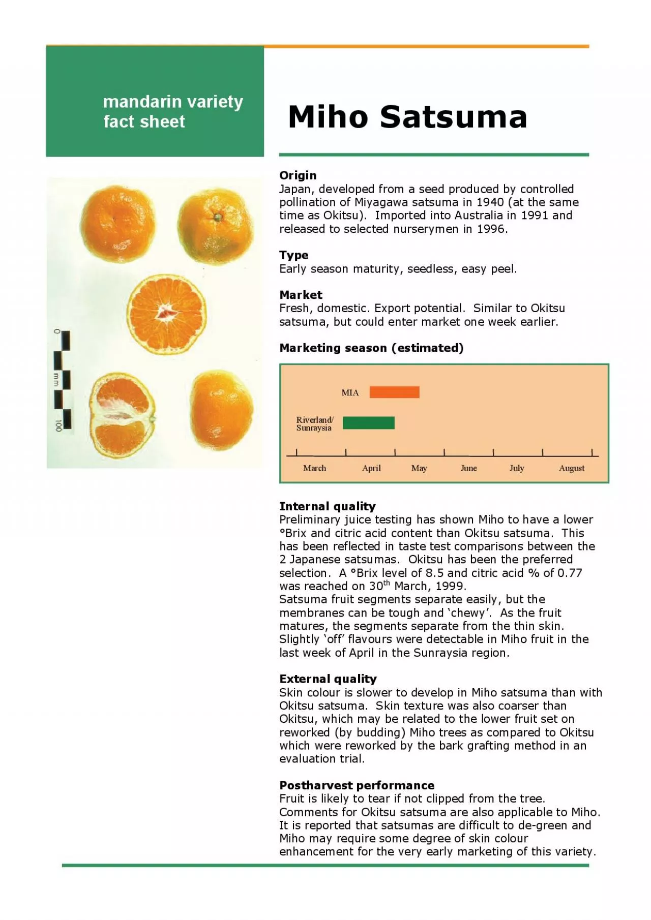 PDF-Japan developed from a seed produced by controlled pollination of Miya