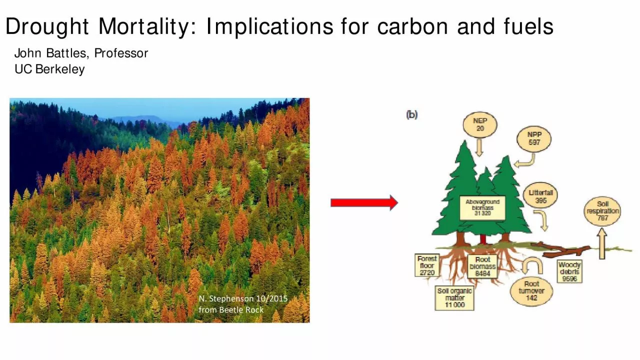 PDF-Dead tree cycle