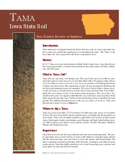 Iowa State Soil