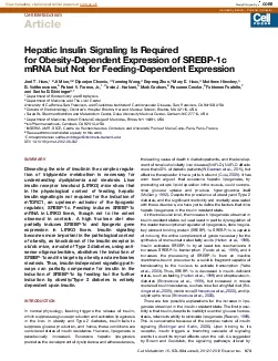 CellMetabolismHepaticInsulinSignalingIsRequiredforObesityDependentExp