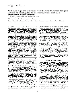 PDF-ProcNatIAcadSciUSAVol84pp82308234December1987BiochemistryNucleotidese