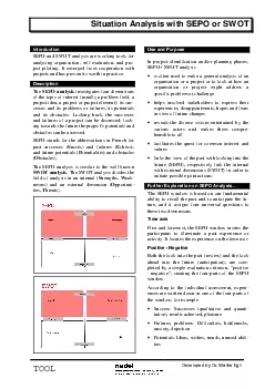 Situation Analysis with SEPO or SWOT