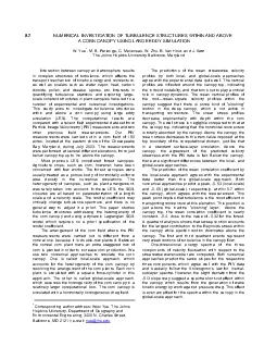 NUMERICAL INVESTIGATION OF TURBULENCE STRUCTURES WITHIN AND ABOVE A CO