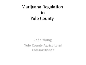 Marijuana Regulation