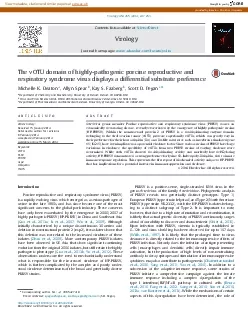 ThevOTUdomainofhighlypathogenicporcinereproductiveandrespiratorysyndr