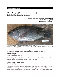 PDF-Oreochromis urolepis