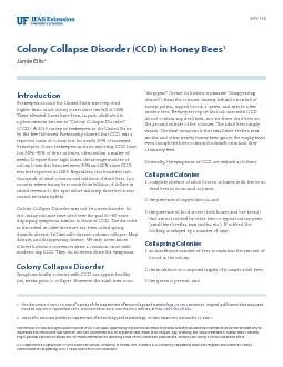 ENY Colony Collapse Disorder CCD in Honey Bees Jamie Ellis 