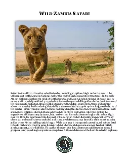 PDF-his bush luxury safari camp consists of four spacious