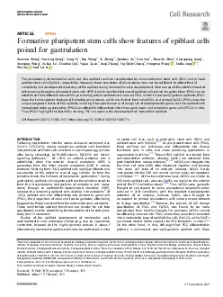 Formativepluripotentstemcellsshowfeaturesofepiblastcellspoisedforgastr