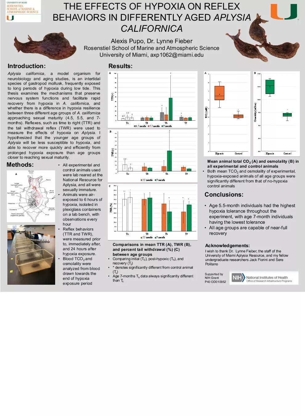 alexis_pupo_senior_thesis_poster.pdf